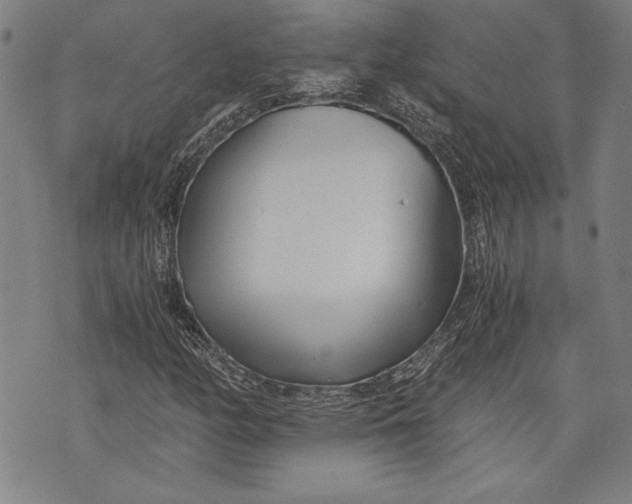 X0000073721158200608241225