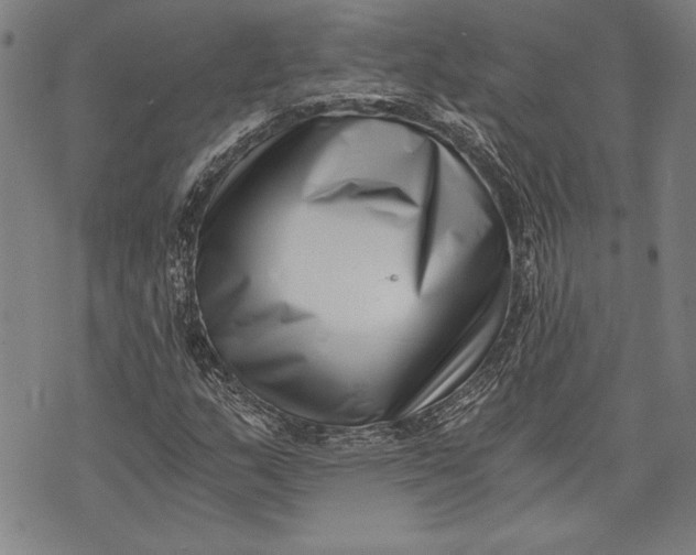 X0000073721159200608241225