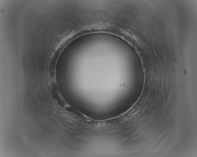 X0000073721160200608241225