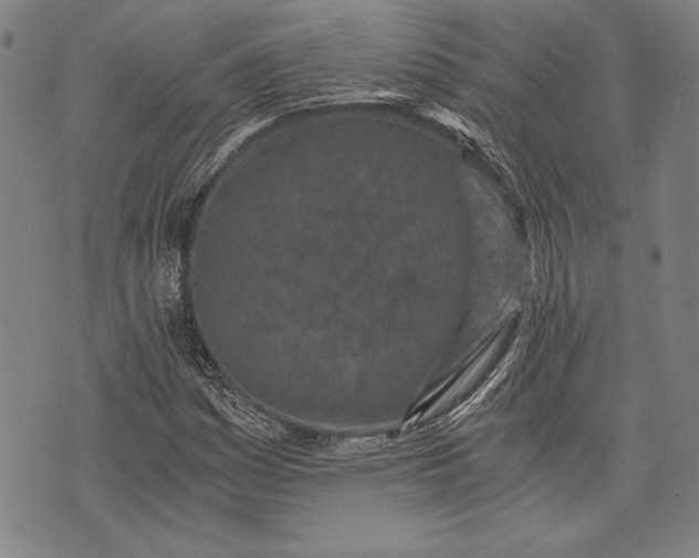 X0000073721161200608241225