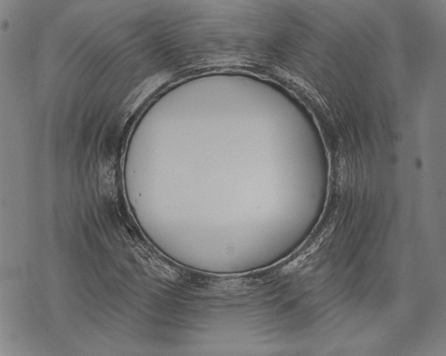 X0000073721162200608241225