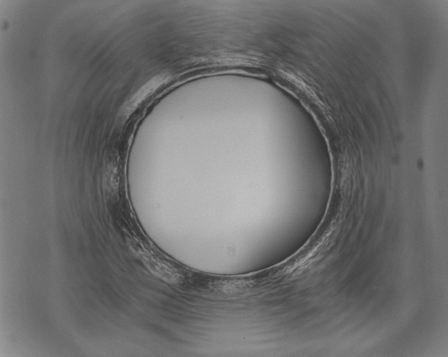 X0000073721163200608241225