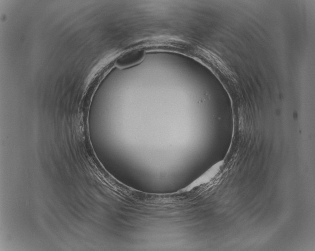 X0000073721164200608241225