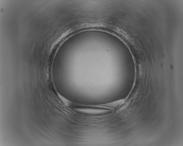 X0000073721165200608241225