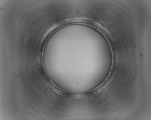 X0000073721166200608241224