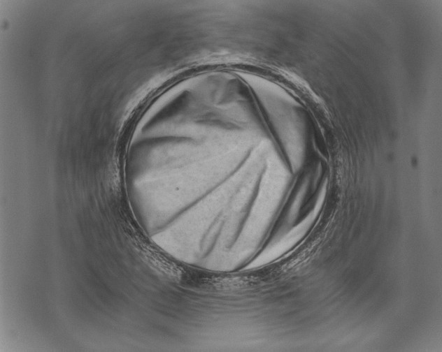 X0000073721167200608241224