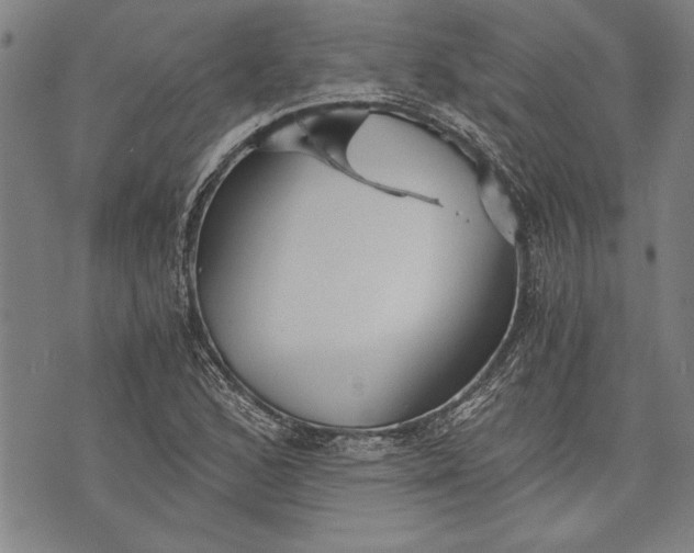 X0000073721168200608241224