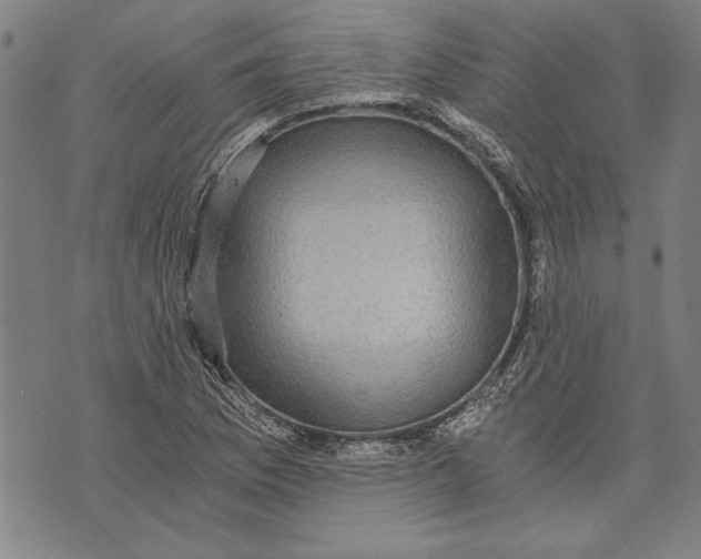 X0000073721169200608241224