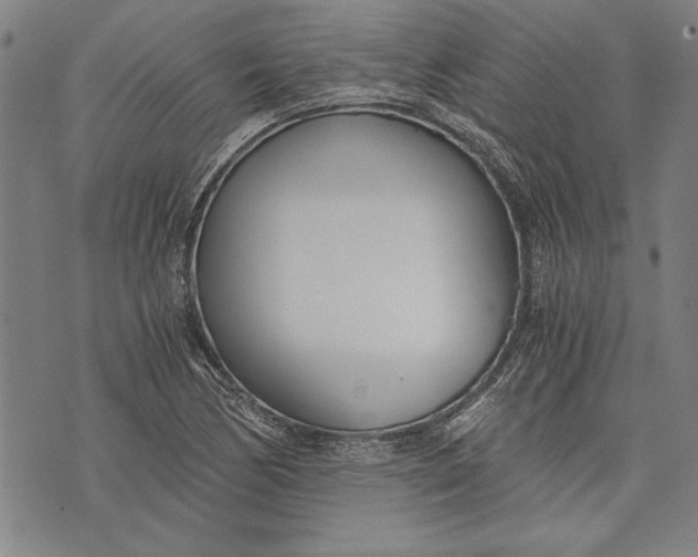 X0000073721170200608241224