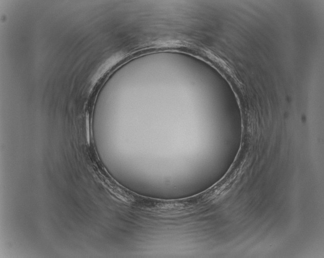 X0000073721171200608241224