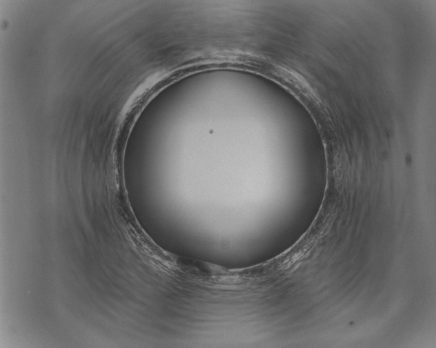 X0000073721172200608241224