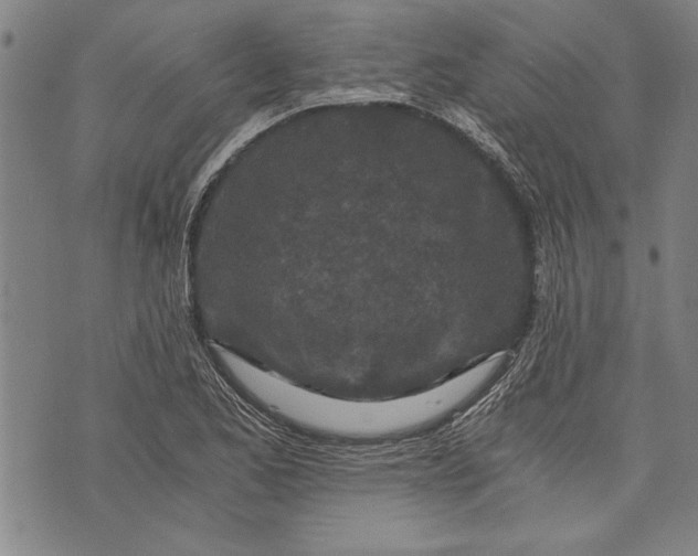 X0000073721173200608241224