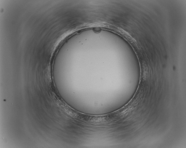 X0000073721174200608241224