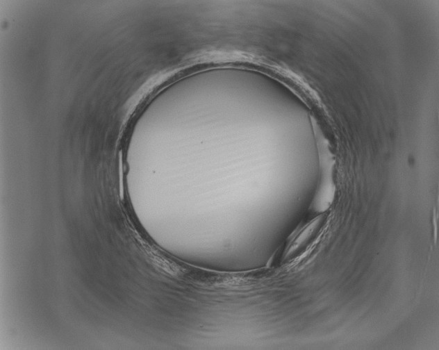 X0000073721175200608241224