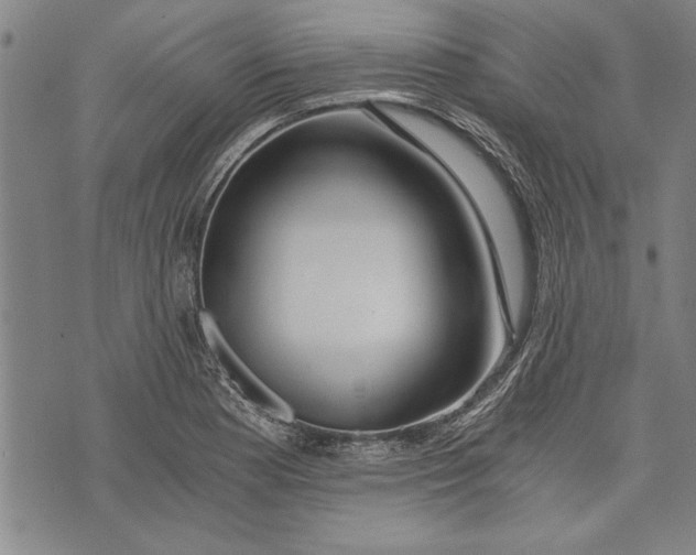 X0000073721177200608241224