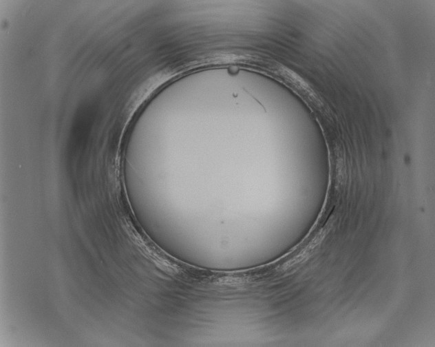 X0000073721178200608241224