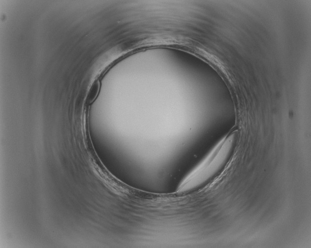 X0000073721179200608241224