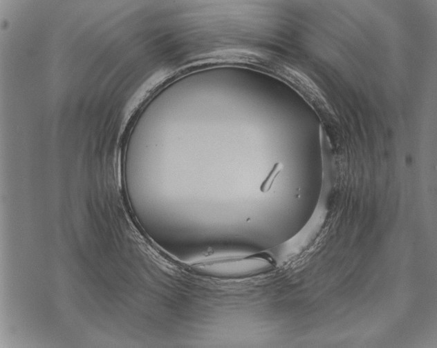 X0000073721180200608241224