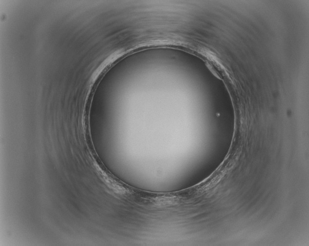 X0000073721181200608241224