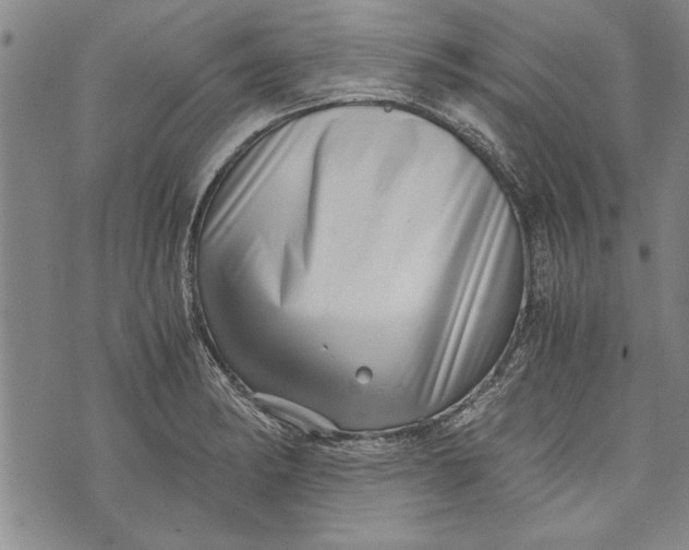 X0000073721182200608241224