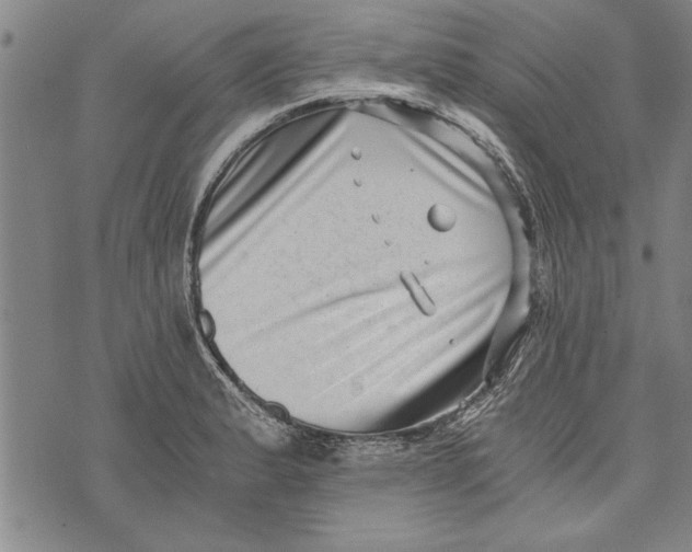 X0000073721183200608241224