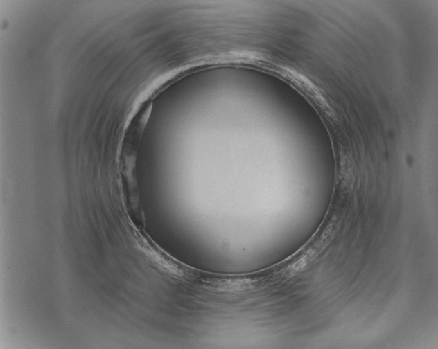 X0000073721184200608241224