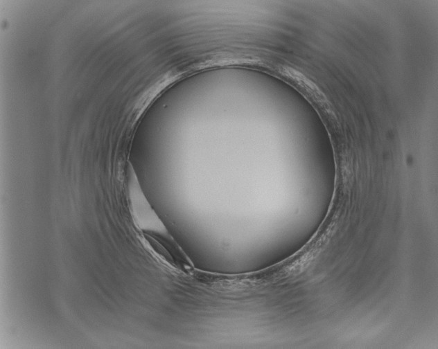 X0000073721185200608241224