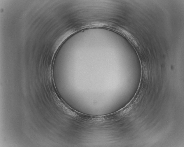 X0000073721186200608241224