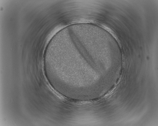 X0000073721187200608241224