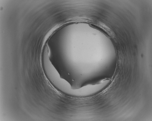 X0000073721188200608241224