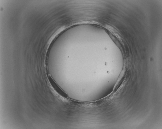 X0000073721189200608241224