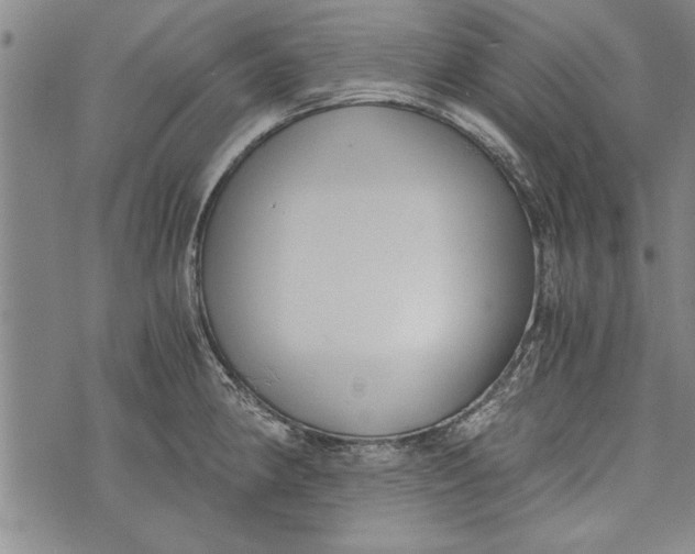 X0000073721190200608241224