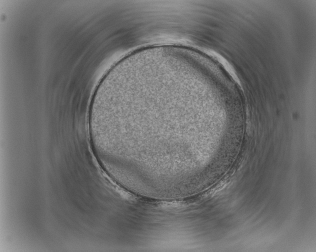 X0000073721191200608241224