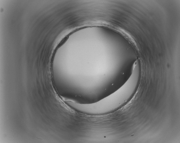 X0000073721192200608241224