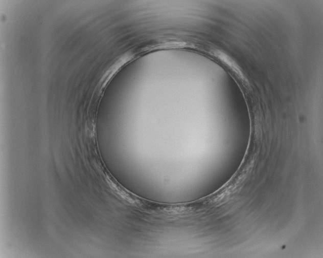 X0000073721193200608241224