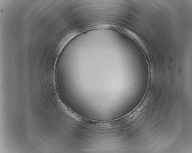 X0000073721194200608241224