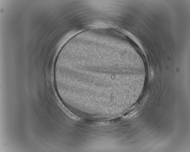 X0000073721195200608241224