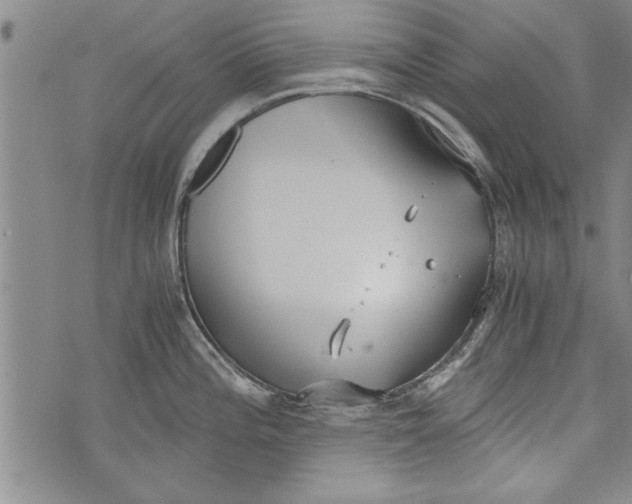 X0000073721196200608241224