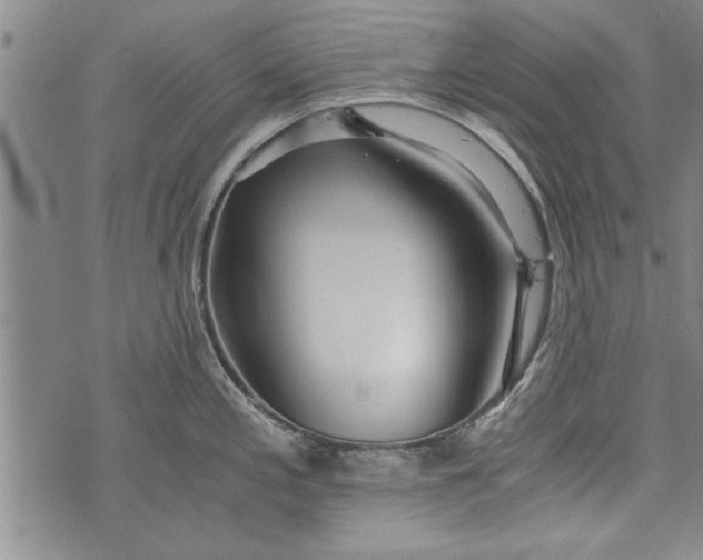 X0000073721197200608241224