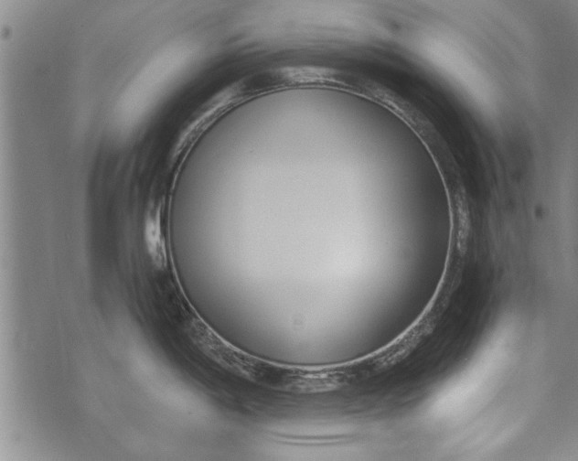 X0000073721198200608241224