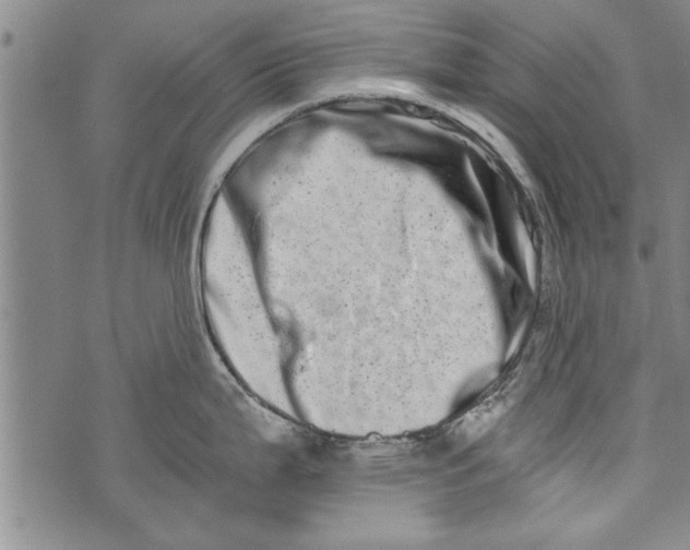 X0000073721199200608241224