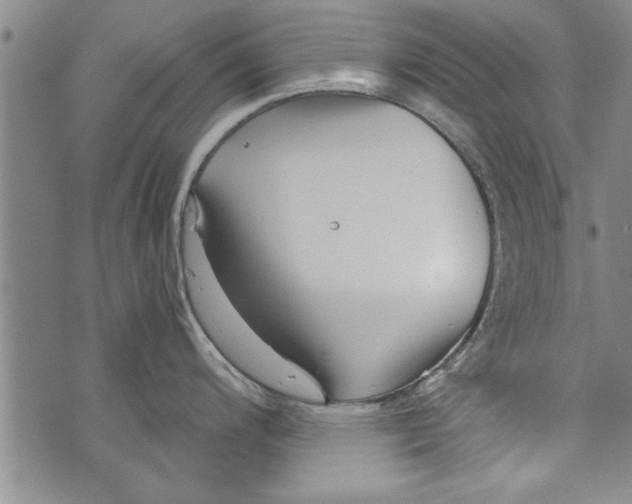 X0000073721200200608241224