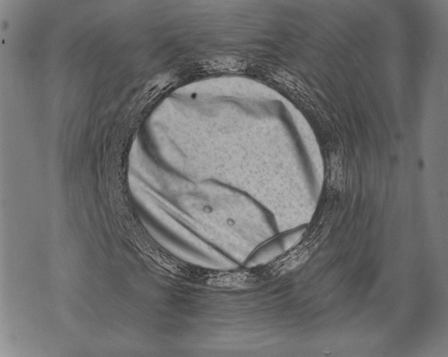 X0000073721201200608241223