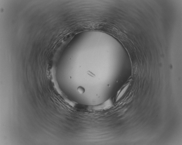 X0000073721202200608241223