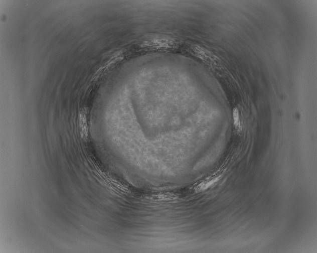 X0000073721203200608241223