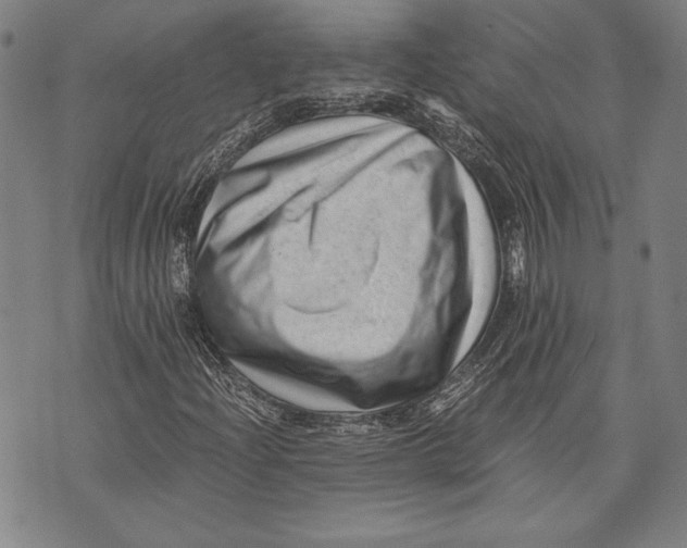 X0000073721204200608241223