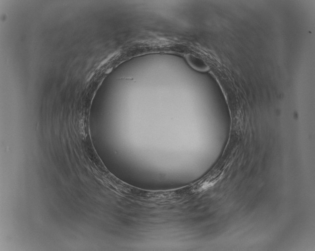 X0000073721205200608241223