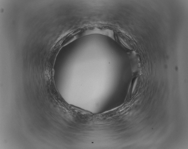 X0000073721206200608241223