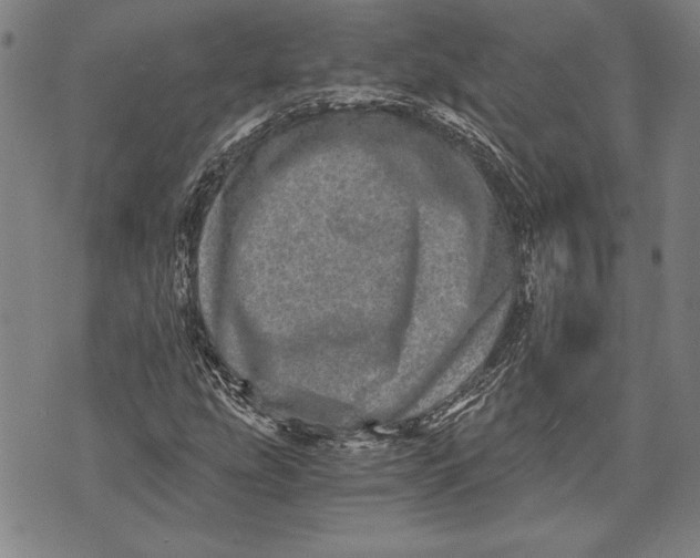 X0000073721207200608241223