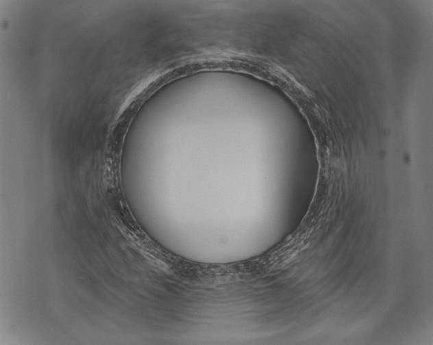 X0000073721208200608241223